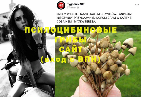 дмт Балахна