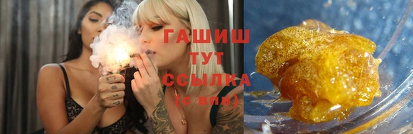 шишки Надым