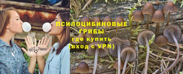 дмт Балахна