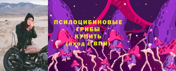 дмт Балахна